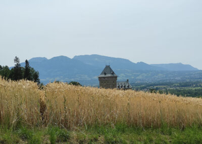 Château de Villy